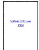 Mô hình IDIC trong CRM