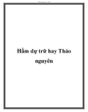 Hầm dự trữ hay Thảo nguyên