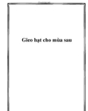 Gieo hạt cho mùa sau