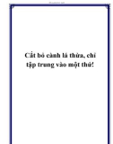 Cắt bỏ cành lá thừa, chỉ tập trung vào một thứ!