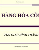 Bài giảng tài chính công: Hàng hóa công - PGS.TS Sử Đình Thành