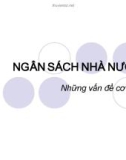 Bài giảng Ngân sách nhà nước những vấn đề cơ bản