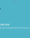 Bài giảng Chính sách phát triển: Buổi 10 - Vấn đề của những đô thị lớn ở châu Á và Việt Nam (2019)