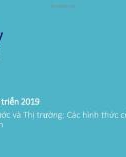 Bài giảng Chính sách phát triển: Buổi 4 - Nhà nước và thị trường: các hình thức của chủ nghĩa tư bản (Năm 2019)