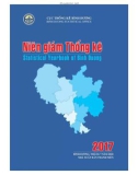 Niên giám thống kê tỉnh Bình Dương 2017 (Statistical yearbook of Binh Duong 2017)