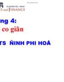 Chương 4: Hệ số co giãn