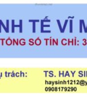 Bài giảng Kinh tế vĩ mô: Chương 0 - TS. Hay Sinh