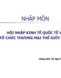 Bài giảng Hội nhập kinh tế quốc tế và tổ chức thương mại thế giới (WTO)