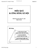 Bài giảng Thất bại của thị trường và vai trò của chính phủ - Chương 6: Hiệu quả và công bằng xã hội