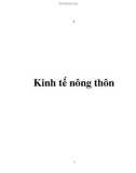 Kinh tế nông thôn