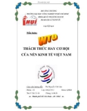 Tiểu luận địa lý kinh tế - Đề tài: WTO THÁCH THỨC HAY CƠ HỘI CỦA NỀN KINH TẾ VIỆT NAM