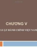 Bài giảng Nhà nước và pháp luật đại cương - Chương 5: Luật hành chính Việt Nam (Lương Thanh Bình)