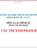 Bài giảng môn Luật Hình sự: Bài 2 - ĐH Mở