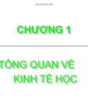 TÀI LIỆU KINH TẾ HỌC