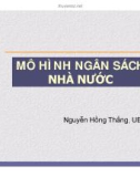 Bài giảng Mô hình ngân sách nhà nước - Nguyễn Hồng Thắng, UEH