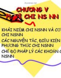 Bài giảng Chương 5: PL về chi NS NN