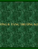 Bài giảng Kinh tế vĩ mô - Chương 8: Tăng trưởng kinh tế