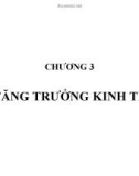 Bài giảng Tăng trưởng kinh tế ( Chương 3)