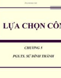 Bài giảng tài chính công: Lựa chọn công - PGS.TS. Sử Đình Thành