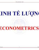 Bài giảng Kinh tế lượng (Econometrics)