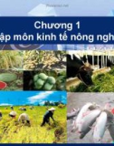 Bài giảng Kinh tế nông nghiệp: Chương 1 - ThS. Nguyễn Hà Hưng