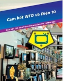 Hệ thống ngắn gọn về WTO và các cam kết gia nhập của Việt Nam - Cam kết WTO về điện tử