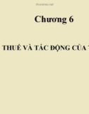 Bài giảng Kinh tế công cộng: Chương 6 - Thuế và tác động của thuế