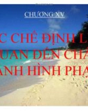 Bài giảng Luật Hình sự Việt Nam: Chương XV - ThS. Trần Đức Thìn