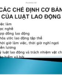 Bài giảng Những vấn đề chung về luật lao động: Chương 2 - ThS. Đinh Thị Chiến