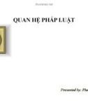 Bài giảng Quan hệ pháp luật